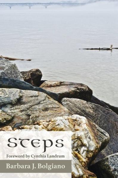 Steps - Barbara Bolgiano