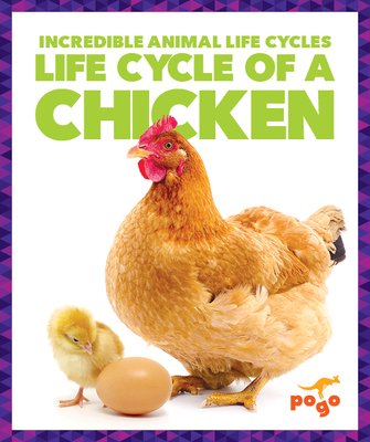 Life Cycle of a Chicken - Karen Kenney
