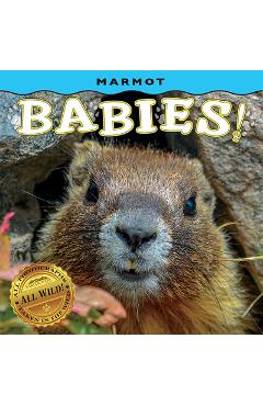 Coperta cărții 'Marmot Babies! - Lea Frye'