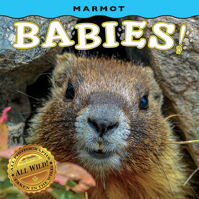 Coperta cărții 'Marmot Babies! - Lea Frye'