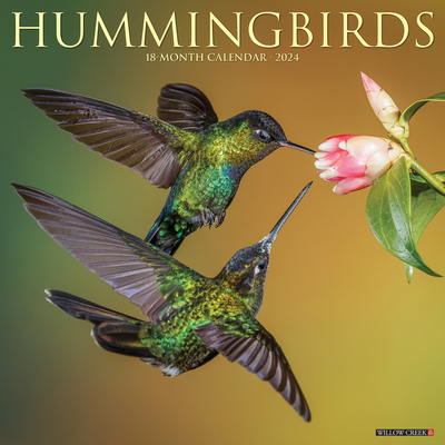 Coperta cărții 'Hummingbirds 2024 12 X 12 Wall Calendar - Willow Creek Press'