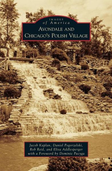 Avondale and Chicago's Polish Village - Jacob Kaplan