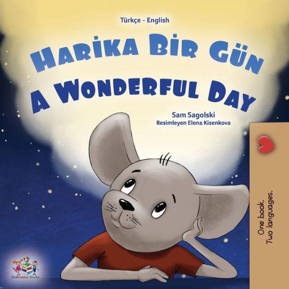 A Wonderful Day (Turkish English Bilingual Book for Kids) - Sam Sagolski