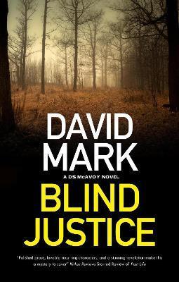 Blind Justice - David Mark
