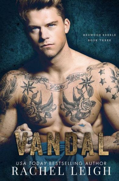 Vandal: A Dark Bully Romance - Rachel Leigh