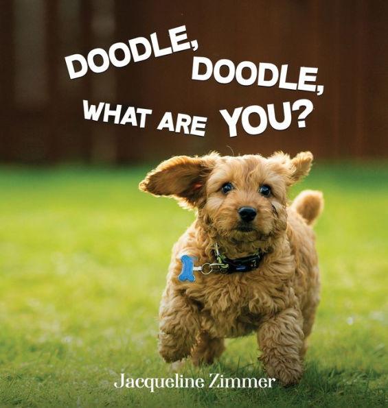 Doodle, Doodle, What Are You? - Jacqueline Zimmer