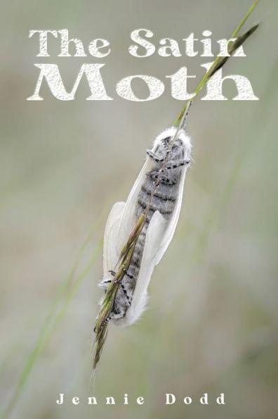 The Satin Moth - Jennie Dodd