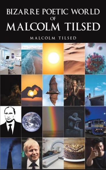 Bizarre Poetic World of Malcolm Tilsed - Malcolm Tilsed