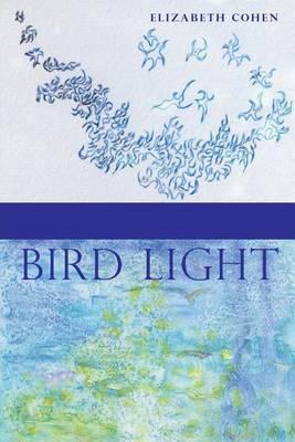 Bird Light - Elizabeth Cohen