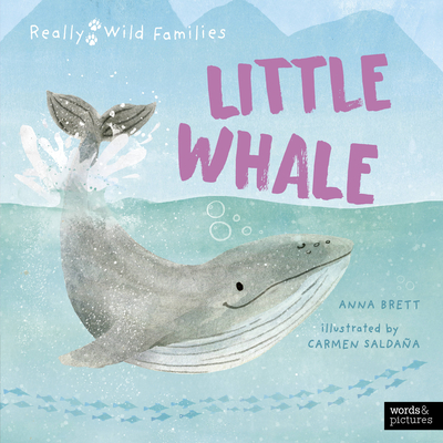 Little Whale: A Day in the Life of a Whale Calf - Anna Brett