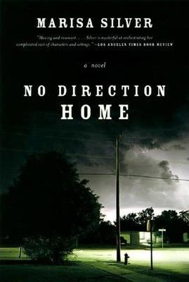 No Direction Home - Marisa Silver