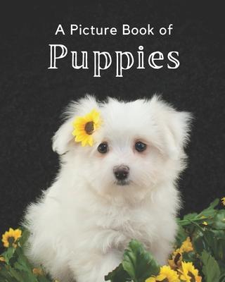 A Picture Book of Puppies: A Beautiful Picture Book for Seniors With Alzheimer's or Dementia. A Wonderful Gift for Dog Lovers. - A Bee's Life Press