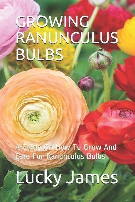 Growing Ranunculus Bulbs: A Guide On How To Grow And Care For Ranunculus Bulbs - Lucky James