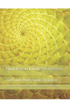 Coperta cărții 'Big Ideas in Infinite Processes: For Future Mathematics Teachers - John Beam'