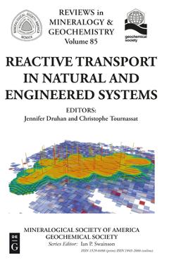 Coperta cărții 'Reactive Transport in Natural and Engineered Systems - Jennifer Druhan'