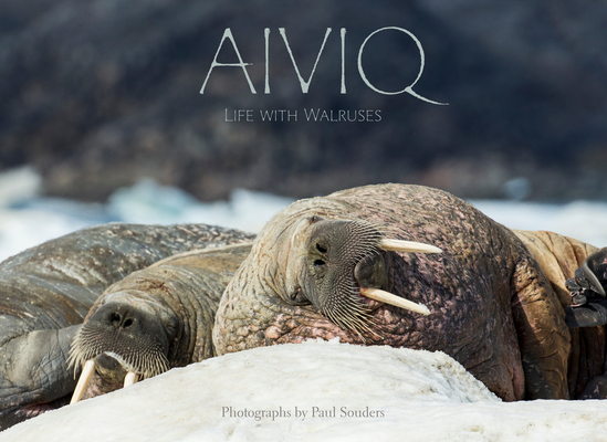 Aiviq: Life with Walruses - Paul Souders