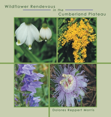 Wildflower Rendevous in the Cumberland Plateau - Dolores Reppert Morris