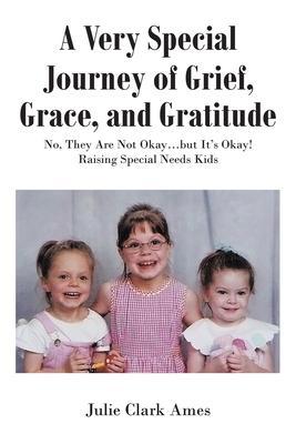 A Very Special Journey of Grief, Grace, and Gratitude: No, They Are Not Okay...but It's Okay! Raising Special Needs Kids - Julie Clark Ames