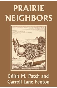 Prairie Neighbors (Yesterday's Classics) - Edith M. Patch