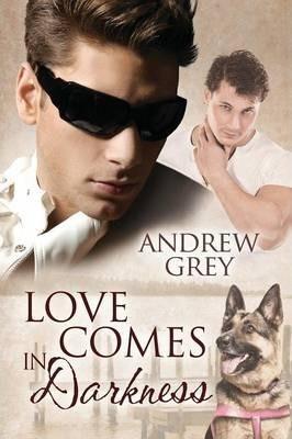 Love Comes in Darkness - Andrew Grey