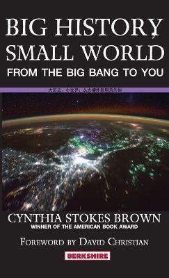 Big History, Small World: From the Big Bang to You - Cynthia Stokes Brown