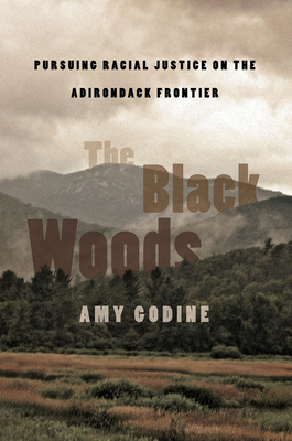 The Black Woods: Pursuing Racial Justice on the Adirondack Frontier - Amy Godine