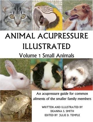 Animal Acupressure Illustrated: Volume 1 Small Animals - Deanna S. Smith