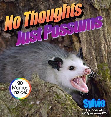 No Thoughts Just Possums - Sylvie