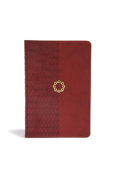Coperta cărții 'CSB Essential Teen Study Bible, Walnut Leathertouch - B&h Kids Editorial'