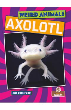 Poza produsului Axolotl - Amy Culliford