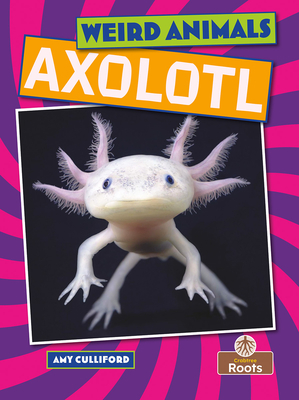 Axolotl - Amy Culliford