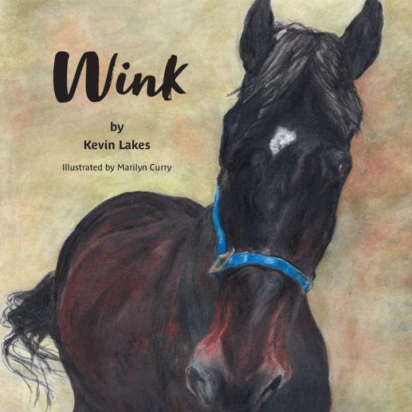 Wink - Kevin Lakes