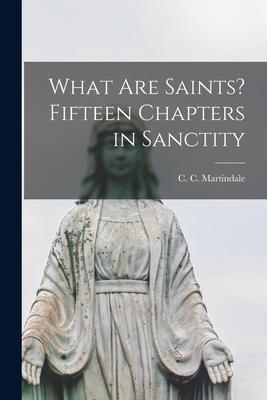 What Are Saints? Fifteen Chapters in Sanctity - C. C. (cyril Charlie) 18 Martindale