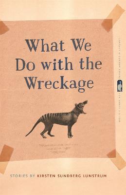 What We Do with the Wreckage: Stories - Kirsten Sundberg Lunstrum