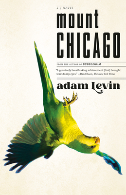 Mount Chicago - Adam Levin