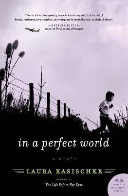 In a Perfect World - Laura Kasischke