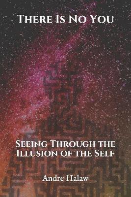 There Is No You: Seeing Through the Illusion of the Self - Andre Halaw