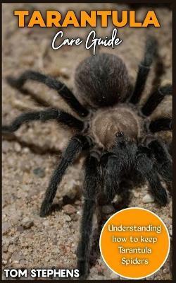 TARANTULA Care Guide: Understanding how to keep Tarantula spider - Tom Stephens