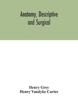 Anatomy, Descriptive and Surgical - Henry Grey