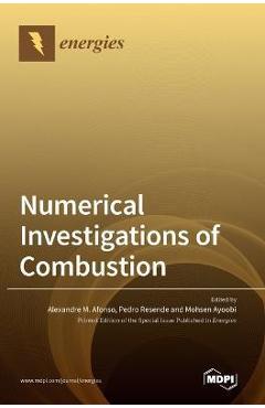 Coperta cărții 'Numerical Investigations of Combustion - Alexandre M. Afonso'