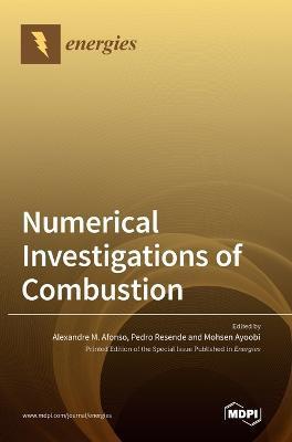 Coperta cărții 'Numerical Investigations of Combustion - Alexandre M. Afonso'