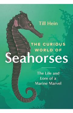 The Curious World of Seahorses: The Life and Lore of a Marine Marvel - Till Hein