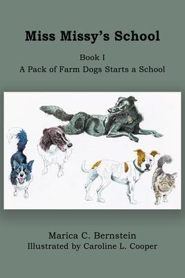 Miss Missy's School: Book I: A Pack of Farm Dogs Starts a School - Marica C. Bernstein