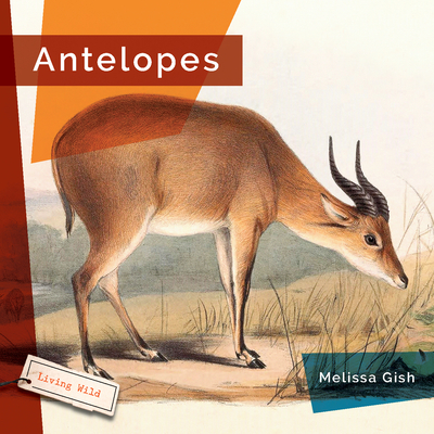Antelopes - Melissa Gish