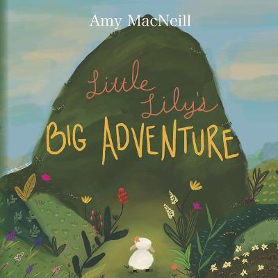 Little Lily's Big Adventure - Amy Macneill