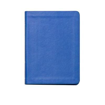 Lsb New Testament with Psalms and Proverbs, Blue Faux Leather: Legacy Standard Bible - Steadfast Bibles