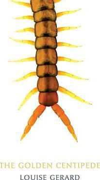Coperta cărții 'The Golden Centipede - Louise Gerard'
