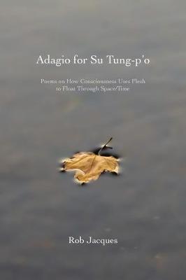 Adagio for Su Tung-p'o: Poems on How Consciousness Uses Flesh to Float Through Space/Time - Rob Jacques