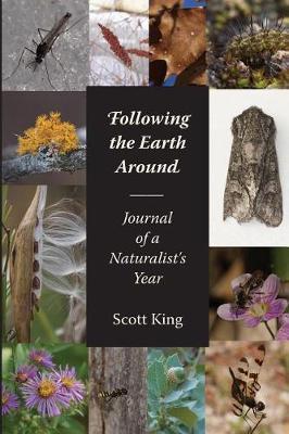 Following the Earth Around - Scott King