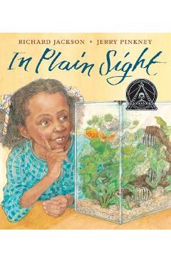 Coperta cărții 'In Plain Sight - Richard Jackson'